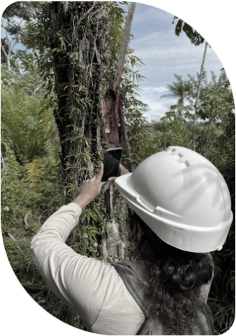 Biodiversidade
Executamos estudos e planos de conservação da biodiversidade com foco na proteção de espécies e ecossistemas. Em nossas especialidades incluem levantamentos de campo detalhados, diagnósticos de espécies de fauna e flora e o uso de técnicas avançadas como o e-DNA, garantindo precisão e eficiência e agilidade por meio dos mais modernos métodos de coleta.